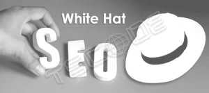 سئوی کلاه سفید